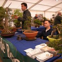 2010_bonsai_Lleida-021