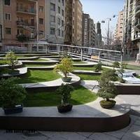 2011_bonsai_Lleida-013