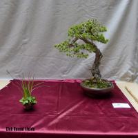 estuIlerdencs sepre13 008