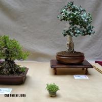 estuIlerdencs sepre13 009