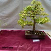 estuIlerdencs sepre13 010