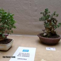 estuIlerdencs sepre13 012