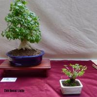 estuIlerdencs sepre13 013