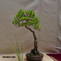 estuIlerdencs sepre13 014