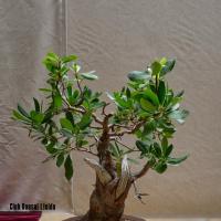 estuIlerdencs sepre13 015