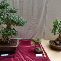 estuIlerdencs sepre13 016