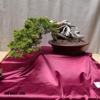 estuIlerdencs sepre13 017