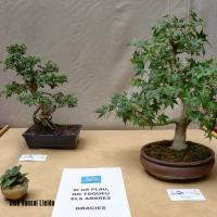 estuIlerdencs sepre13 018