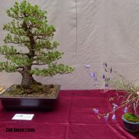 estuIlerdencs sepre13 019