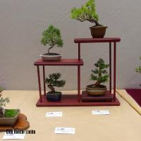 estuIlerdencs sepre13 020