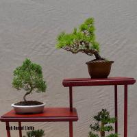 estuIlerdencs sepre13 021