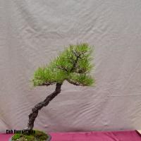 estuIlerdencs sepre13 022