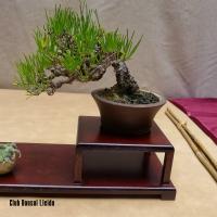 estuIlerdencs sepre13 023