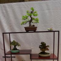 estuIlerdencs sepre13 024