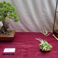 estuIlerdencs sepre13 025