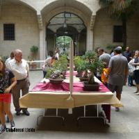 estuIlerdencs sepre13 032