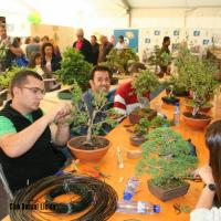 ECOJARDI 2014 060 (1)