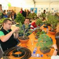 ECOJARDI 2014 060