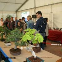 ECOJARDI 2014 061
